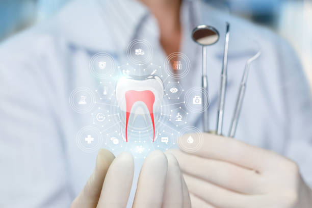 Professional  Holistic Dental Services in Pinewood Estates, TX